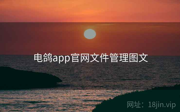 电鸽app官网文件管理图文