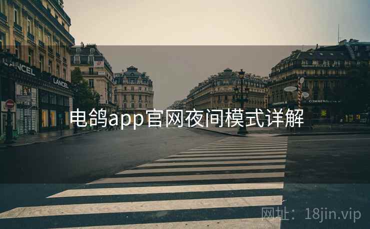 电鸽app官网夜间模式详解