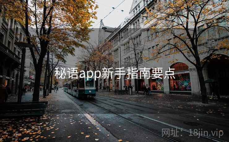 秘语app新手指南要点
