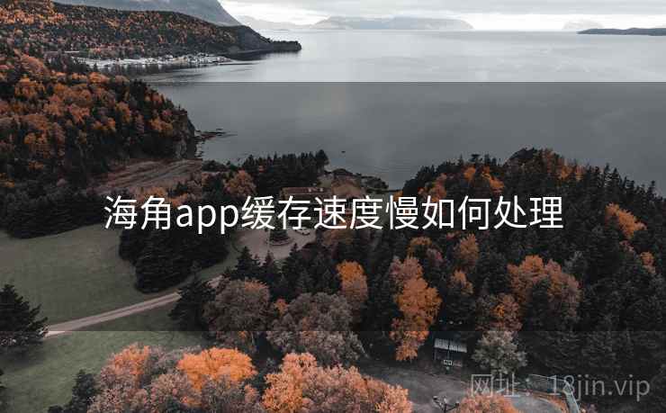海角app缓存速度慢如何处理