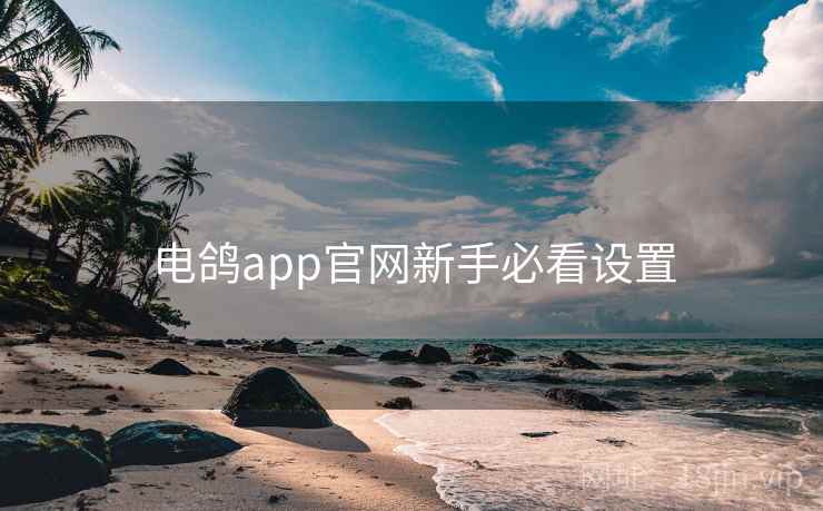 电鸽app官网新手必看设置