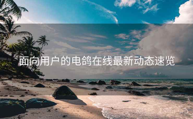 详细阅读:面向用户的电鸽在线最新动态速览 面向用户的电鸽在线最新动态速览